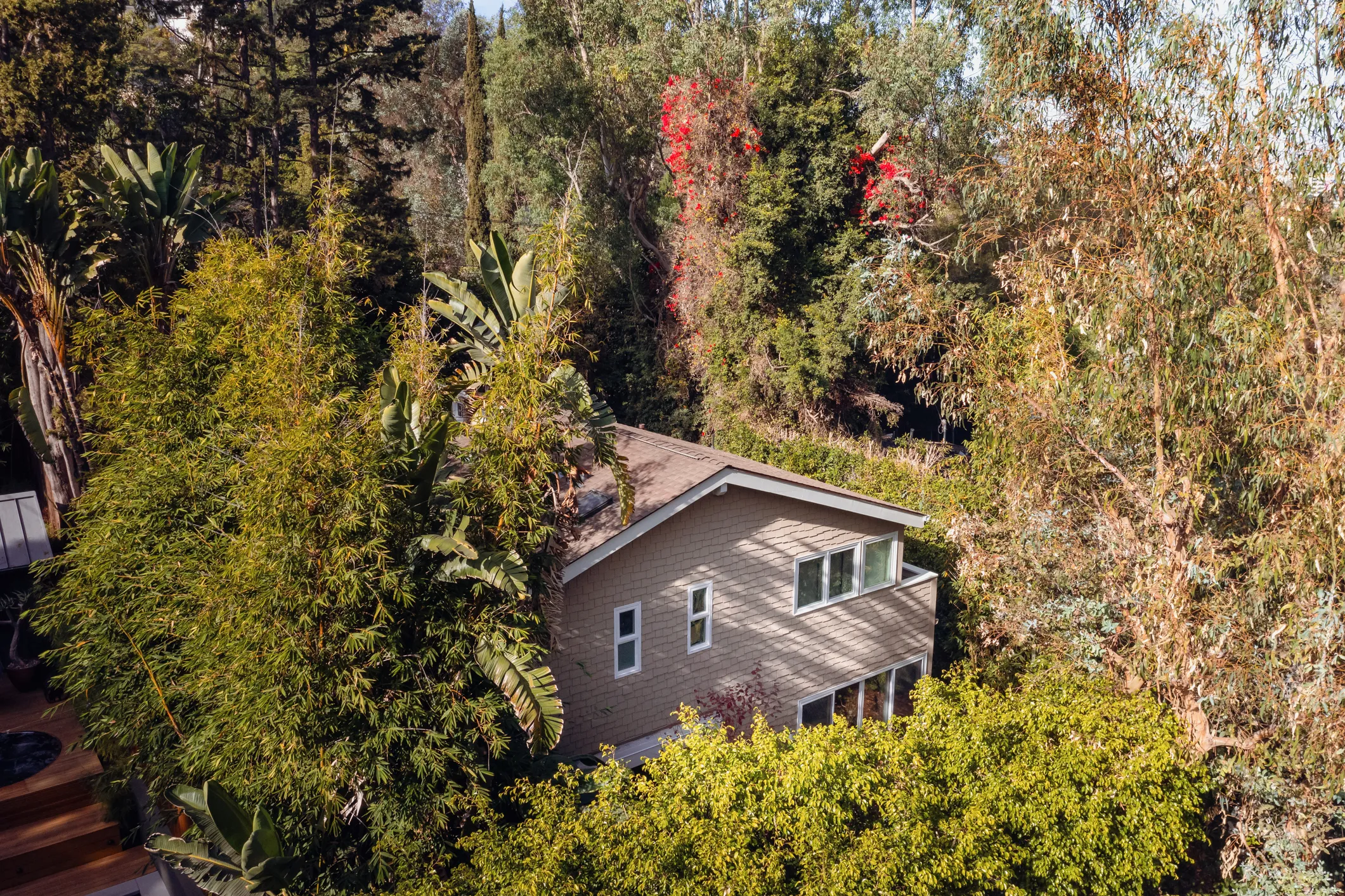 Real estate house aerial view surrounded by trees and plants