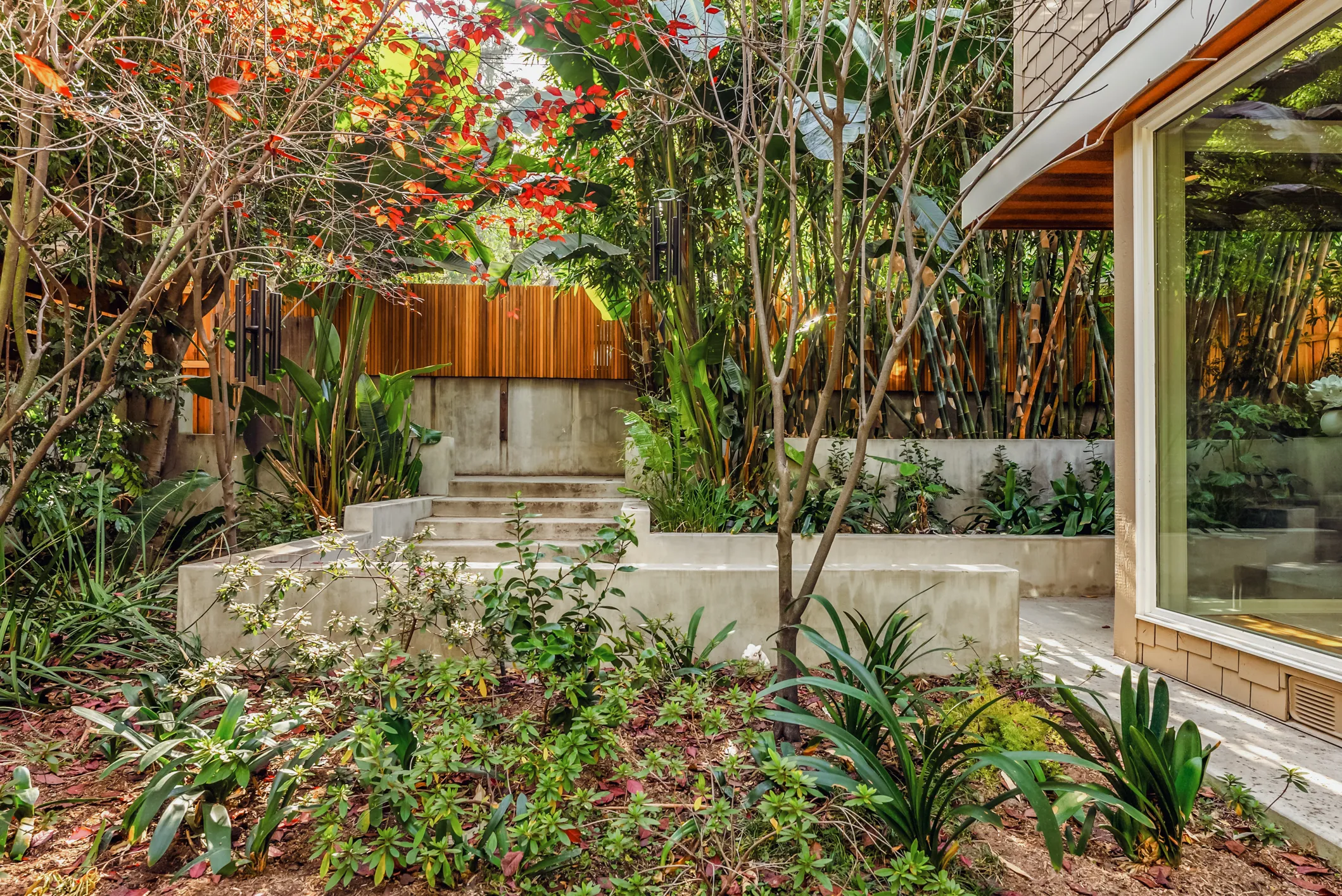 Garden with plants, trees, and steps leading to a modern building with large windows